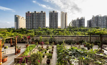 中国广州番禺区城市花园的景观。