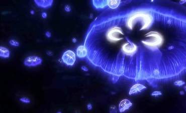 从Wevr场景是theBlu。