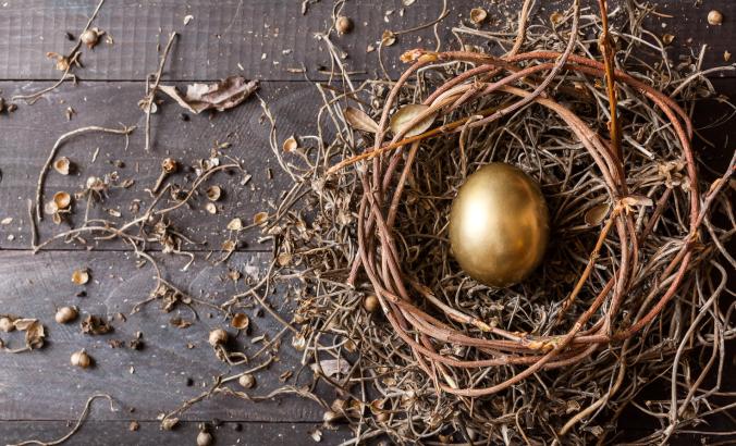 Nest egg image